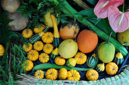 Pumpkins, Summer Squash, Gourd and Gac fruits Stock Photo - Budget Royalty-Free & Subscription, Code: 400-04739278