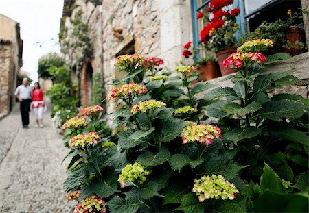 rich old people on vacation - Flowers and a couple at the medieval village street Stock Photo - Budget Royalty-Free & Subscription, Code: 400-04739417