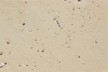 simsearch:400-09237669,k - sand in beach Stock Photo - Budget Royalty-Free & Subscription, Code: 400-04739707