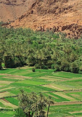 dades valley - village and palm grove among Moroccan hills, view from the road from Tinerhir to Todra gore Photographie de stock - Aubaine LD & Abonnement, Code: 400-04730124