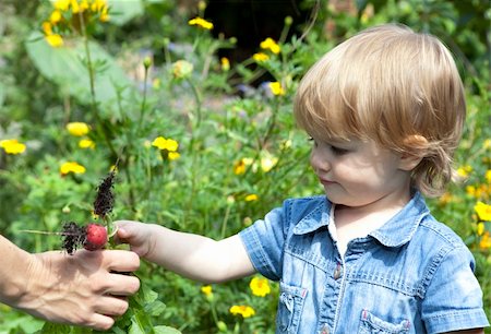 simsearch:400-04067084,k - Baby in flower filled garden giving mother just pulled radishes Stock Photo - Budget Royalty-Free & Subscription, Code: 400-04730853