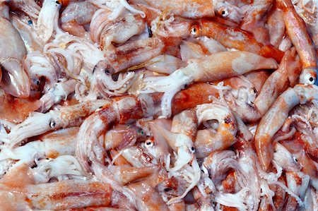Totena squid Ommastrephes sagittatus seafood catch market Photographie de stock - Aubaine LD & Abonnement, Code: 400-04731562