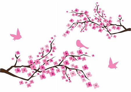 simsearch:400-04778102,k - cherry blossom with birds Fotografie stock - Microstock e Abbonamento, Codice: 400-04732057