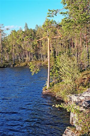 simsearch:400-04804407,k - Pine forest on rocky coast of blue lake Stock Photo - Budget Royalty-Free & Subscription, Code: 400-04732192