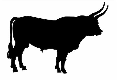 simsearch:400-08814672,k - illustration of the oxen on white background Stock Photo - Budget Royalty-Free & Subscription, Code: 400-04732849
