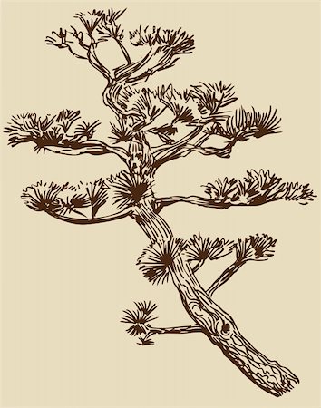 simsearch:400-04645691,k - Hand drawn image of a bonsai tree branch. Stock Photo - Budget Royalty-Free & Subscription, Code: 400-04732931