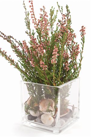 simsearch:859-03035876,k - forest herbs in a glass vase Photographie de stock - Aubaine LD & Abonnement, Code: 400-04733412