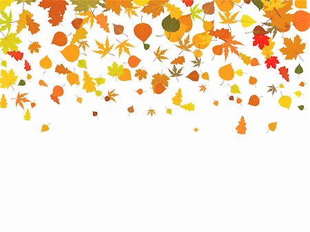 simsearch:400-05254593,k - Background of autumn leaves. EPS 8 vector file included Stock Photo - Budget Royalty-Free & Subscription, Code: 400-04733569