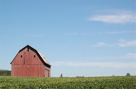 red barn in field - Red Barn on Left Stock Photo - Budget Royalty-Free & Subscription, Code: 400-04733820