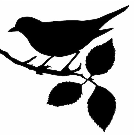 simsearch:400-05330279,k - silhouette of the bird on branch Photographie de stock - Aubaine LD & Abonnement, Code: 400-04733869