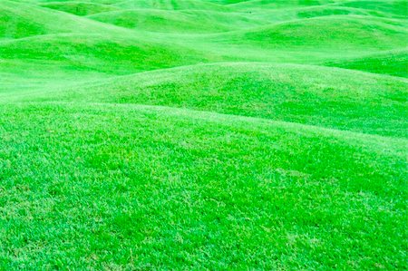 simsearch:400-03945601,k - Hilly field of bright green grass Stock Photo - Budget Royalty-Free & Subscription, Code: 400-04744267