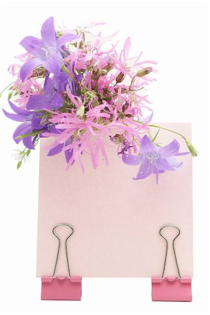 simsearch:400-04744751,k - Blank note (Post-It) with flowers  isolated on white Foto de stock - Super Valor sin royalties y Suscripción, Código: 400-04744860