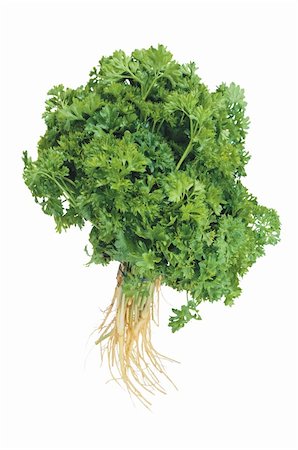 simsearch:400-07578178,k - fresh parsley isolated on white background Stock Photo - Budget Royalty-Free & Subscription, Code: 400-04746494