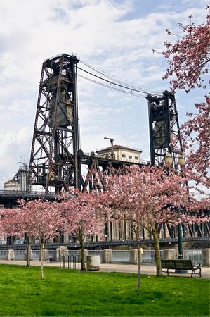 simsearch:400-04748524,k - Steel Bridge at Spring Time in Portland Oregon Stock Photo - Budget Royalty-Free & Subscription, Code: 400-04746973