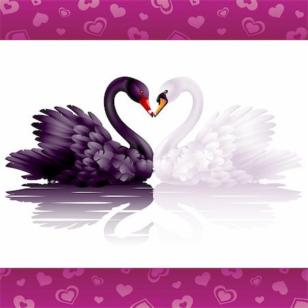 denis13 (artist) - Two graceful swans in love Stock Photo - Budget Royalty-Free & Subscription, Code: 400-04747153