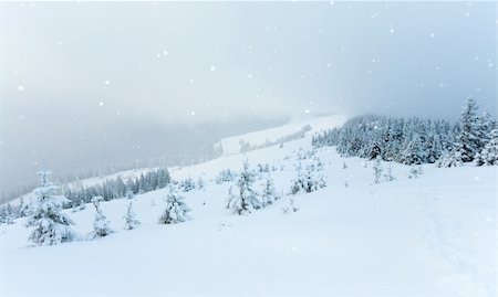 simsearch:400-04319458,k - winter calm mountain landscape with snowfall  (Kukol Mount, Carpathian Mountains, Ukraine) Stock Photo - Budget Royalty-Free & Subscription, Code: 400-04747699