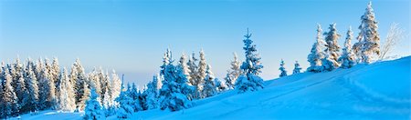 simsearch:400-04820244,k - Morning winter calm mountain panorama landscape with fir trees on slope (Carpathian Mountains, Ukraine). Three shots stitch image. Photographie de stock - Aubaine LD & Abonnement, Code: 400-04747701