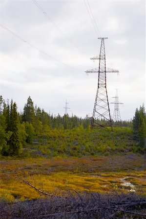 High-voltage lines passing through the north woods Stock Photo - Budget Royalty-Free & Subscription, Code: 400-04748547