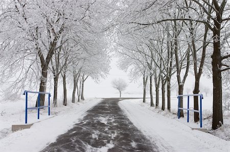 snowy road tree line - The empty road in winter Stock Photo - Budget Royalty-Free & Subscription, Code: 400-04748746