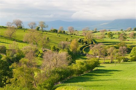 simsearch:400-04015327,k - Typical landscape in Yorkshire Dales National Park in Great Britain Stock Photo - Budget Royalty-Free & Subscription, Code: 400-04748749