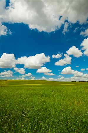 simsearch:400-06143114,k - Beautiful green meadow with a great cloudy sky Fotografie stock - Microstock e Abbonamento, Codice: 400-04749037
