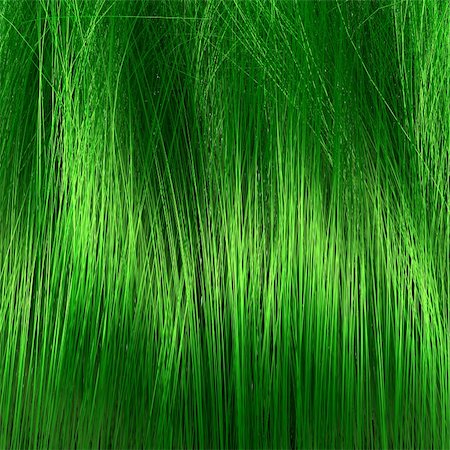 simsearch:400-05744585,k - 3d image of close shot of green grass or hair Stock Photo - Budget Royalty-Free & Subscription, Code: 400-04749130