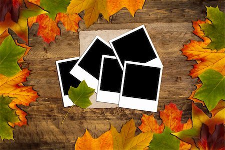 simsearch:400-07548535,k - Photos and paper on a wood with leaves frame Fotografie stock - Microstock e Abbonamento, Codice: 400-04749348