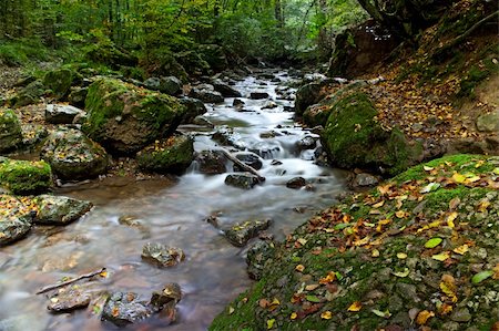 autumn stream or small river with small rapid and fallen leafs long exposure results in smooth surface Stock Photo - Budget Royalty-Free & Subscription, Code: 400-04749458