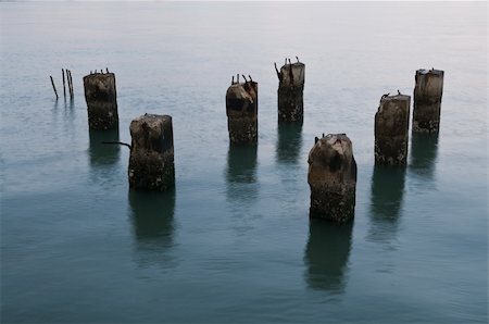 disorderly (artist) - Worn concrete posts in San Francisco Bay, California Stock Photo - Budget Royalty-Free & Subscription, Code: 400-04740485