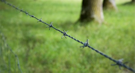 simsearch:400-05300192,k - Barbed wire protecting a green meadow Stock Photo - Budget Royalty-Free & Subscription, Code: 400-04740603