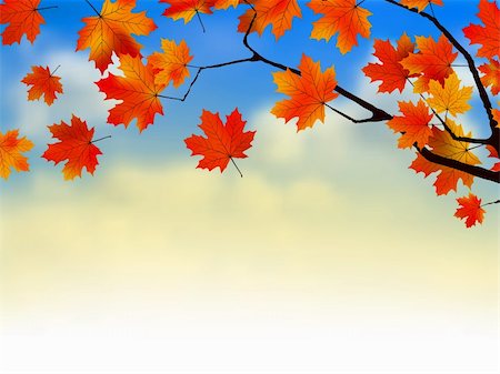 Orange leafs of Maple On Sunset. EPS 8 vector file included Stock Photo - Budget Royalty-Free & Subscription, Code: 400-04740622
