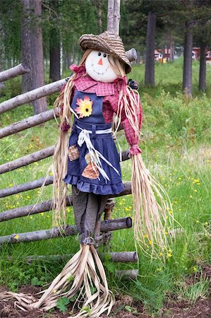 Stuffed scarecrow on a traditional fence in northern Sweden Stock Photo - Budget Royalty-Free & Subscription, Code: 400-04740779