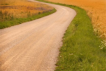Country dirt road in a wheat field Stock Photo - Budget Royalty-Free & Subscription, Code: 400-04740772
