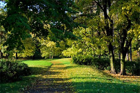 simsearch:6109-08944838,k - Beautiful autumn colors of the trees in the park. Morning light Photographie de stock - Aubaine LD & Abonnement, Code: 400-04741968