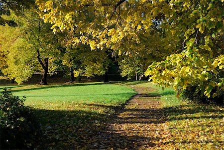 simsearch:400-04743104,k - Beautiful autumn colors of the trees in the park. Morning light Stockbilder - Microstock & Abonnement, Bildnummer: 400-04741969