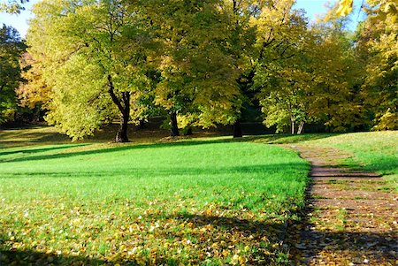 simsearch:400-04743104,k - Beautiful autumn colors of the trres in the park. Morning light Stockbilder - Microstock & Abonnement, Bildnummer: 400-04741970