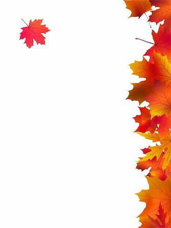 simsearch:400-06391236,k - Thank you card on a bright autumn background of leaves. EPS 8 vector file included Fotografie stock - Microstock e Abbonamento, Codice: 400-04742353