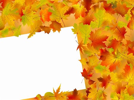 simsearch:400-08555680,k - Image and Illustration composition for Thanksgiving invitation border or background with copy space. Stock Photo - Budget Royalty-Free & Subscription, Code: 400-04742388