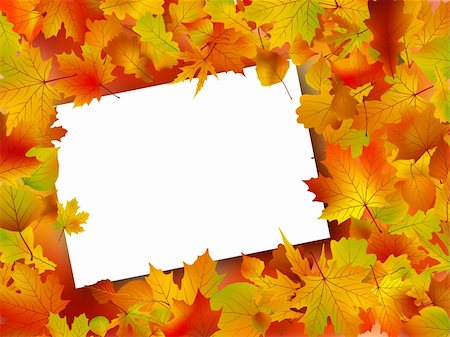 simsearch:400-08555680,k - Image and Illustration composition for Thanksgiving invitation border or background with copy space. Stock Photo - Budget Royalty-Free & Subscription, Code: 400-04742464