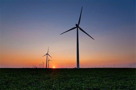 Wind turbines in a field at sunset Photographie de stock - Aubaine LD & Abonnement, Code: 400-04742733