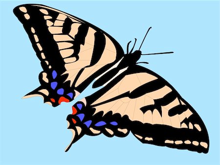 symmetrical animals - butterfly with background - vector Stock Photo - Budget Royalty-Free & Subscription, Code: 400-04743606