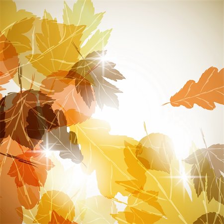 simsearch:400-05305234,k - autumn background Stockbilder - Microstock & Abonnement, Bildnummer: 400-04754300