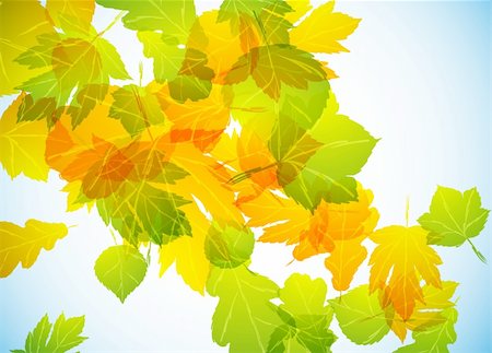 simsearch:400-05305234,k - autumn background Stockbilder - Microstock & Abonnement, Bildnummer: 400-04754327