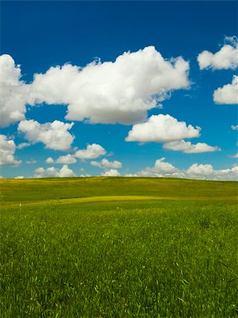 simsearch:400-06143114,k - Beautiful green meadow with a great cloudy sky Fotografie stock - Microstock e Abbonamento, Codice: 400-04754544
