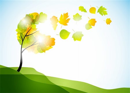 autumn background Stock Photo - Budget Royalty-Free & Subscription, Code: 400-04754587
