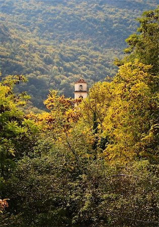 dense evergreen forest - larch and pine forest in autumn and church Stock Photo - Budget Royalty-Free & Subscription, Code: 400-04754966