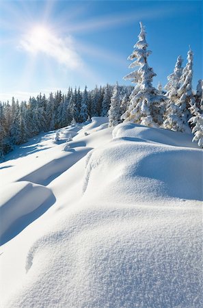 simsearch:400-04319458,k - Snowdrifts on winter snow covered mountainside, fir trees on hill top and sun shine in blue sky Stock Photo - Budget Royalty-Free & Subscription, Code: 400-04755153