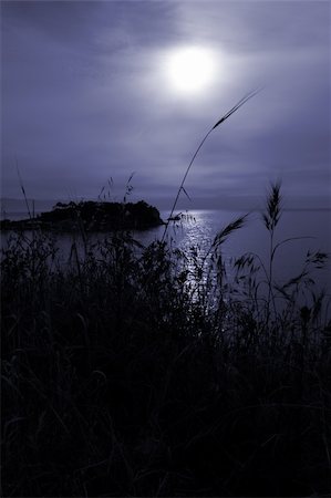 simsearch:400-04497244,k - Tranquil moon over the Aegean sea on the Turkish Coast. Slightly overcast, with grass in the foreground as a silhouette and a small island in the background Foto de stock - Super Valor sin royalties y Suscripción, Código: 400-04755209