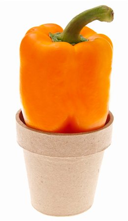 simsearch:400-04300939,k - Orange Bell Pepper in a Pot Isolated on White with a Clipping Path Foto de stock - Super Valor sin royalties y Suscripción, Código: 400-04755479