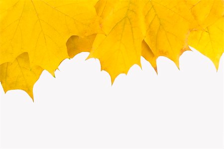 simsearch:400-07675553,k - Autumn card of colored leafs frame over white background, isolated on white Stock Photo - Budget Royalty-Free & Subscription, Code: 400-04756099